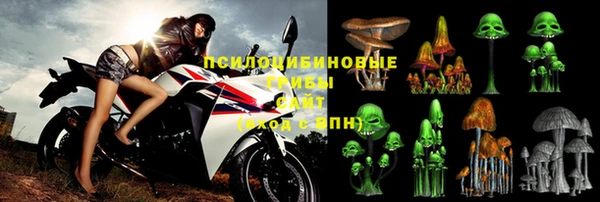 mdma Богородицк