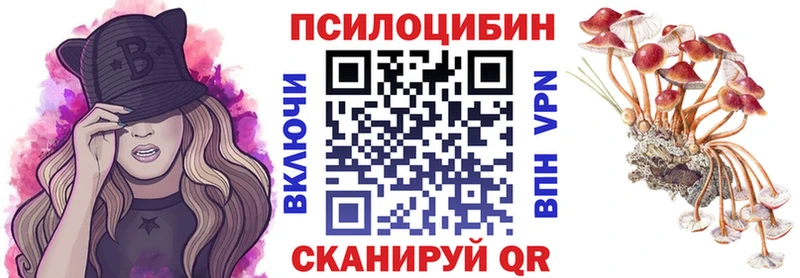 Псилоцибиновые грибы Psilocybe  Кемерово 